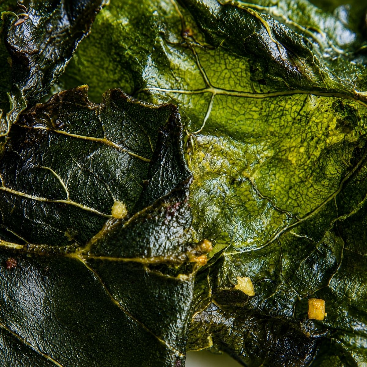 Kale-y Crisps 90 g & 40 g | Natural Kale Snack