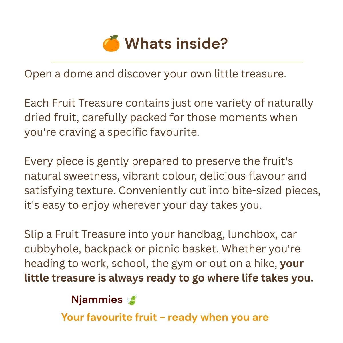 What's inside Njammies Fruit Treasure information card explaining the single dried fruit in each little dome.